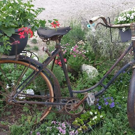 Bed and Breakfast Basse-Cour De Montin Au 256 Chemin De La Rocaille A 38510 Vezeronce Curtin Morestel Экстерьер фото