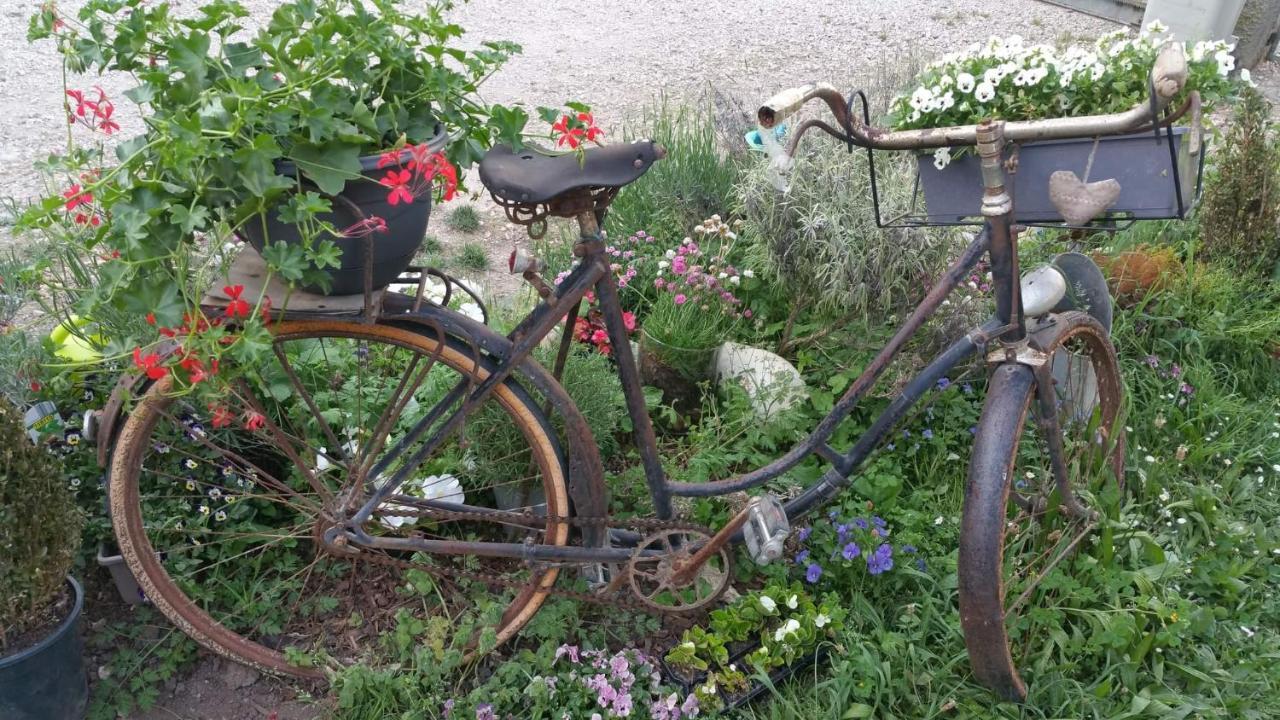 Bed and Breakfast Basse-Cour De Montin Au 256 Chemin De La Rocaille A 38510 Vezeronce Curtin Morestel Экстерьер фото